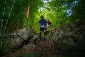 BIB: 
                            <button type="button" onclick="openModal(22089723)" class="btn btn-primary btn-sm float-right btn-popup" data-toggle="modal" data-target=".modal-high-quality">
                        <i class="fas fa-shopping-cart"></i> Add to Cart
                    </button>
                                            <button type="button" onclick="isThisMe(22089723, true)" class="btn btn-success btn-sm float-right btn-popup btn-isme hidden" data-toggle="tooltip" data-placement="bottom" title="นี่คือรูปของคุณใช่ไหม คลิกที่นี่เพื่อเอาเข้าอัลบั้ม">
                        <i class="fas fa-plus"></i> Add to album
                    </button>
                    <button type="button" onclick="isThisMe(22089723, false)" class="btn btn-warning btn-sm float-right btn-popup btn-isnotme hidden">
                        <i class="fas fa-ban"></i> Remove from album
                    </button>